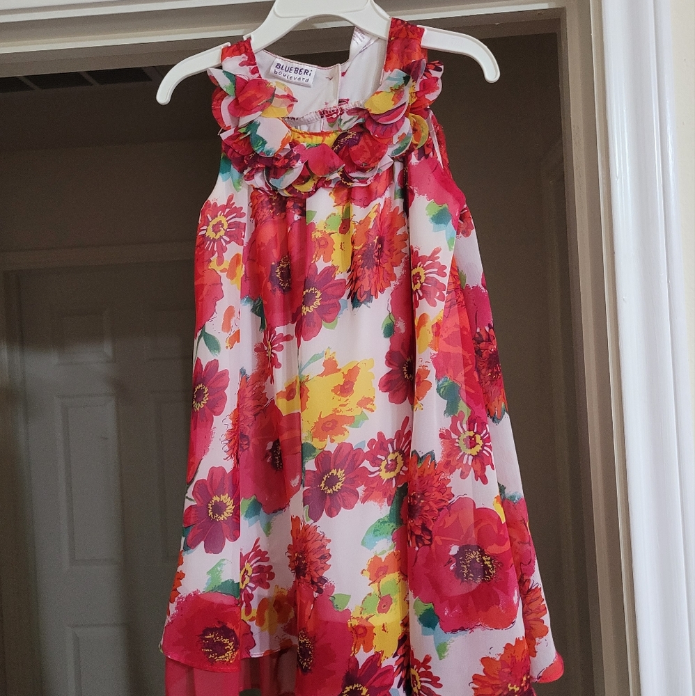 Beautiful, red Blueberi Blvd floral dress size 4
